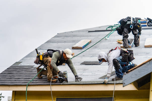 Professional Gutter Installation technician working in Lynch Station, VA